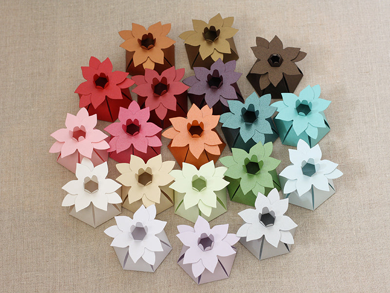 Flower Favour Boxes - Assorted Colours