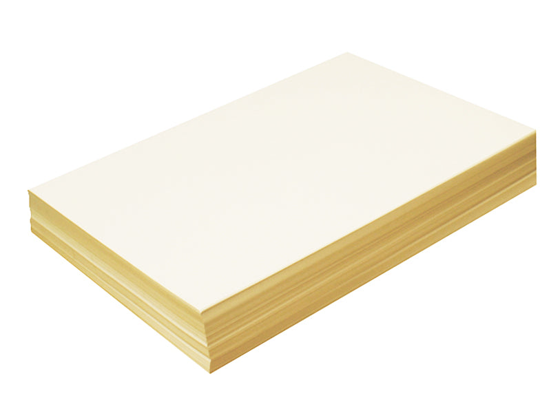 40 Pack - 4-3/4" x 8-1/2" Matte Panel Card: Ivory (Natural White) Linen